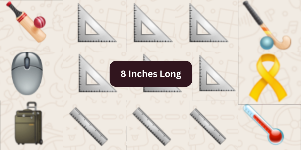 11 Common Things That Are 8 Inches Long