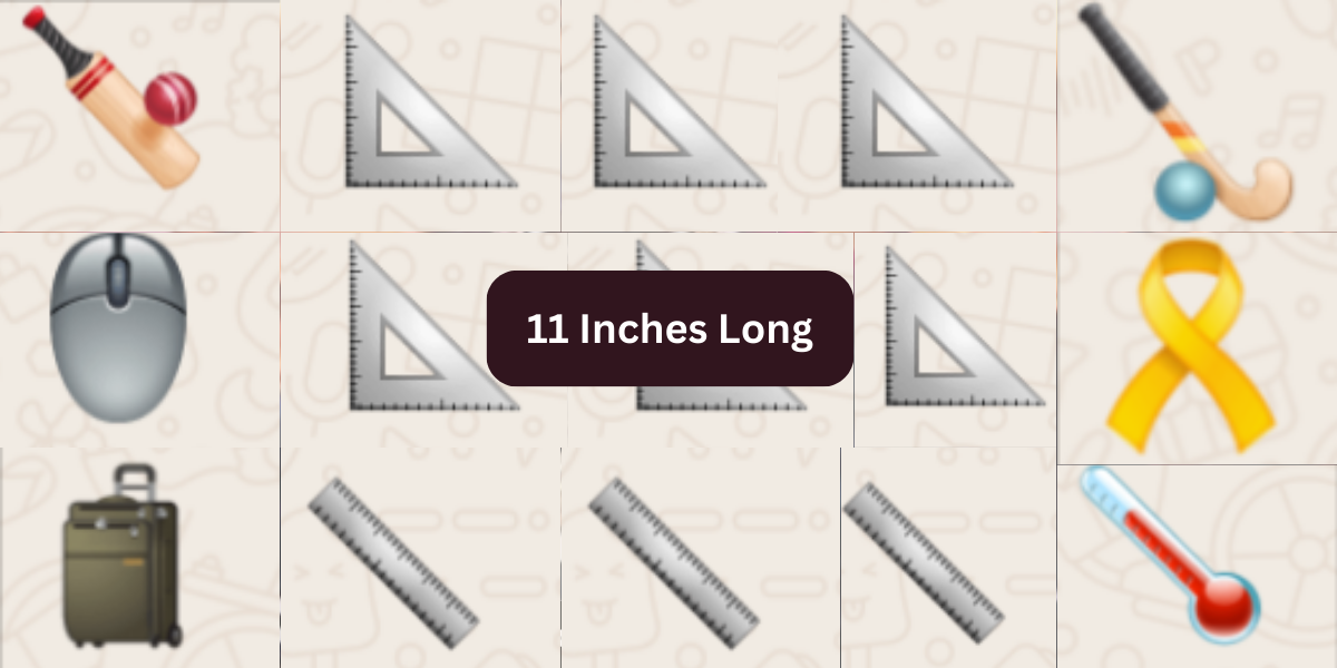 12 Common Things That Are 11 Inches Long