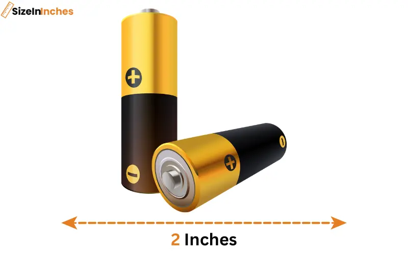 how long is 2 inches