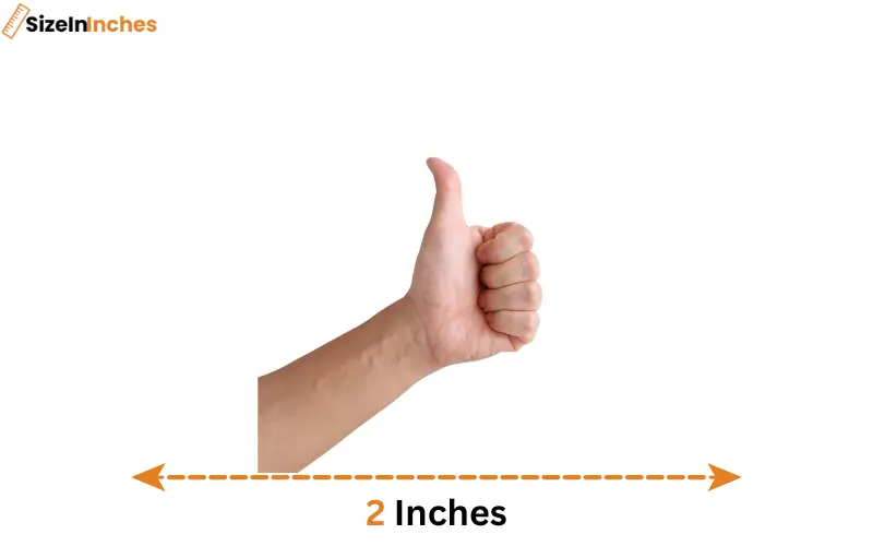 how long is 2 inches