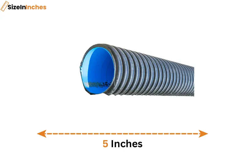 how long is 5 inches