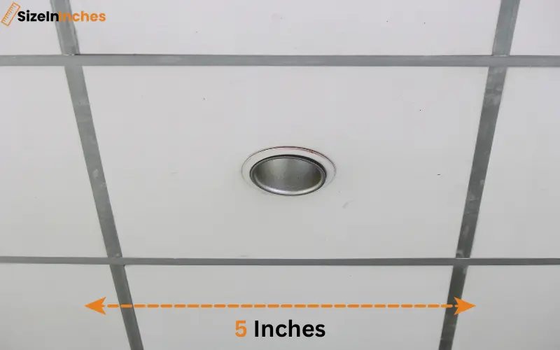 how long is 5 inches