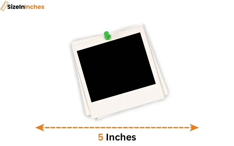 how long is 5 inches