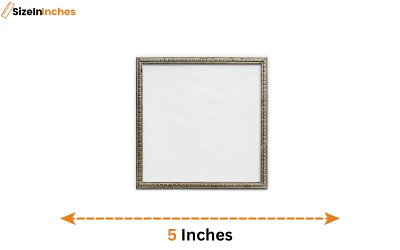 how long is 5 inches