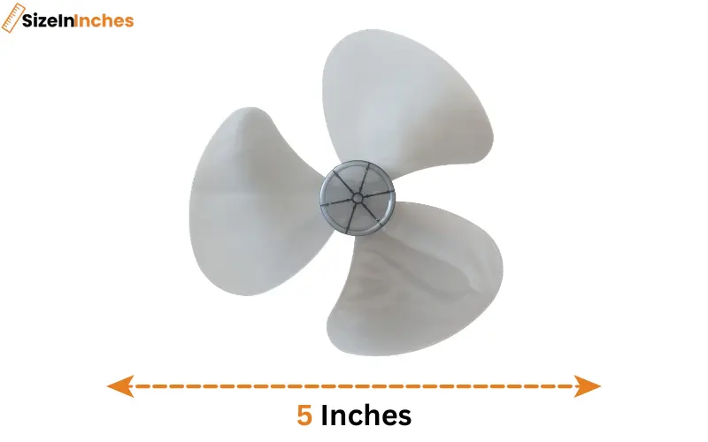 how long is 5 inches