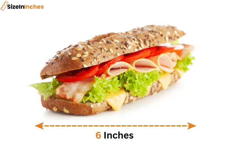 how long is 6 inches