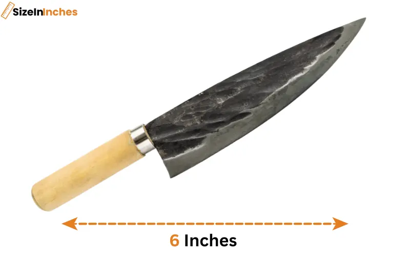 how long is 6 inches
