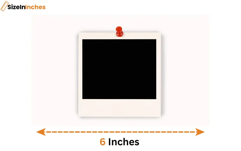 how long is 6 inches