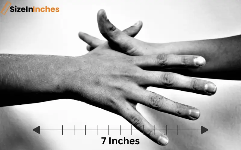 how long is 7 inches