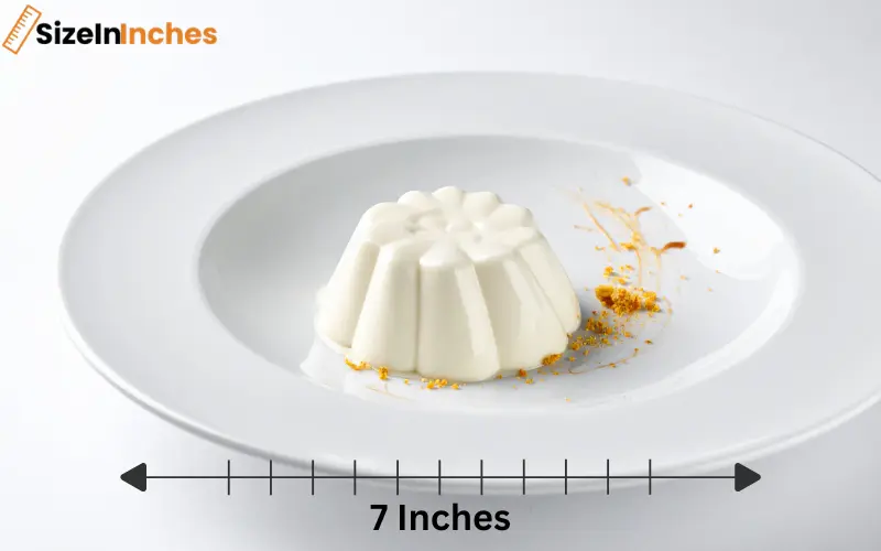 how long is 7 inches