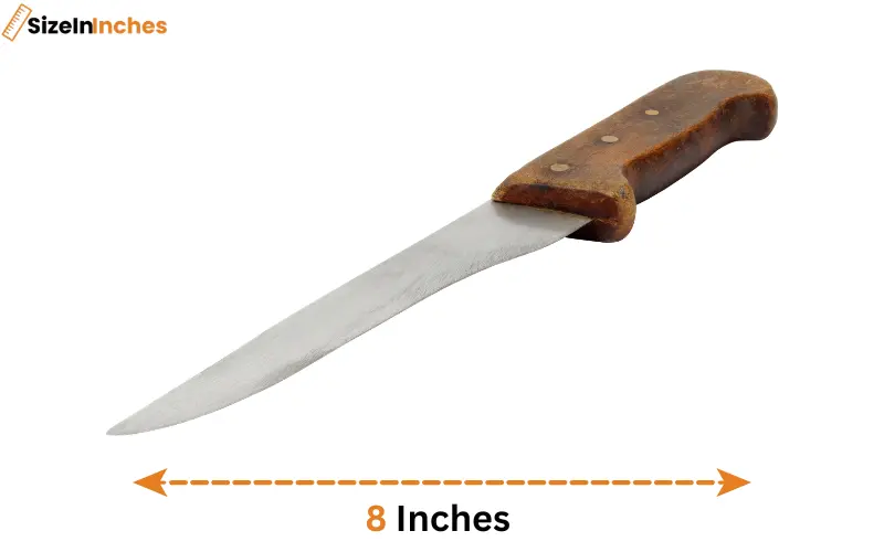 how long is 8 inches