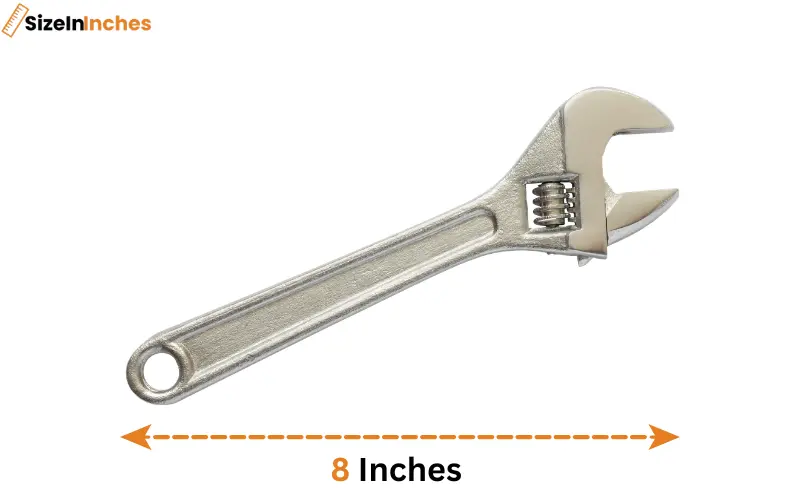 how long is 8 inches