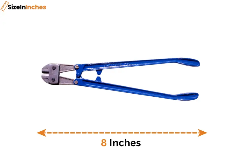 how long is 8 inches