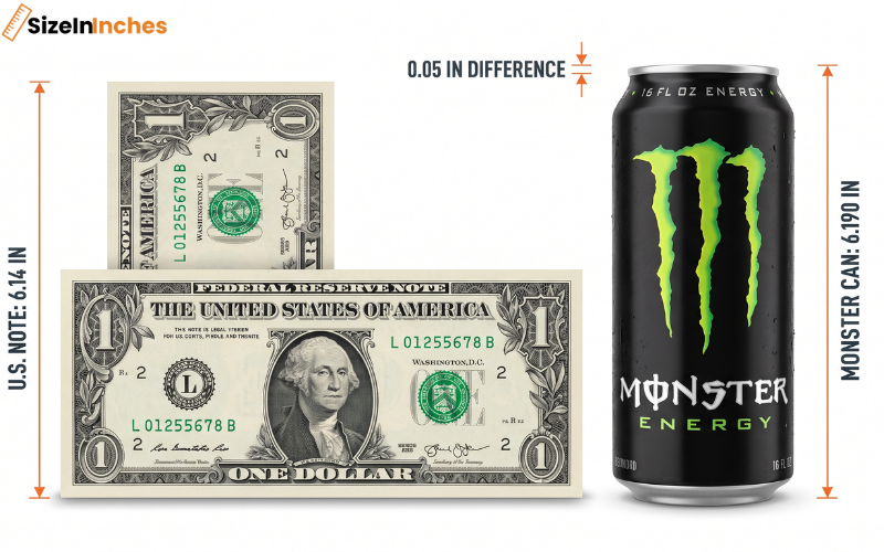 how tall is a monster can