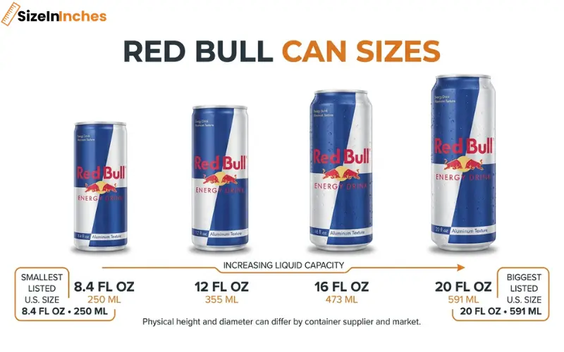 red bull can sizes