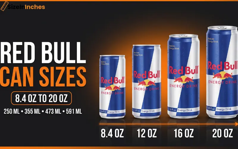 red bull can sizes