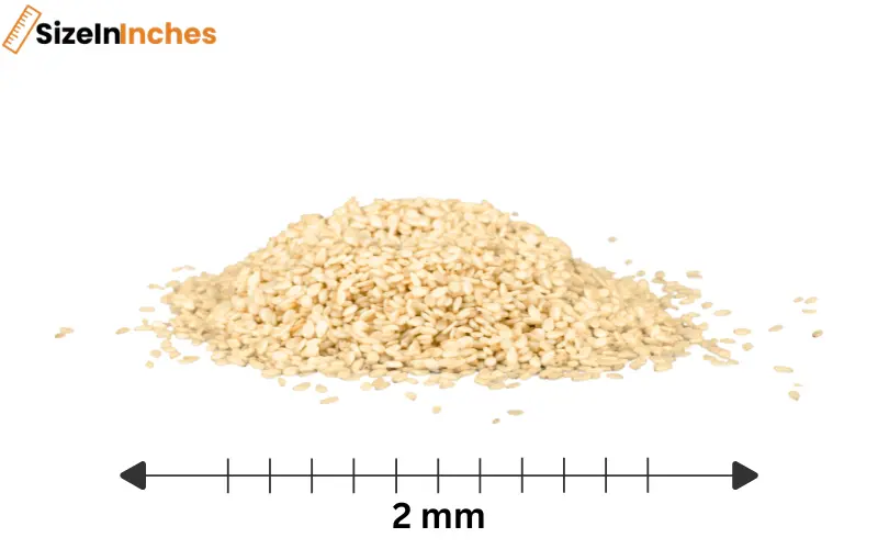 how big is 2mm