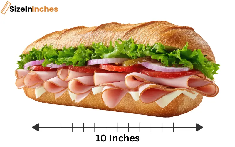 how long is 10 inches