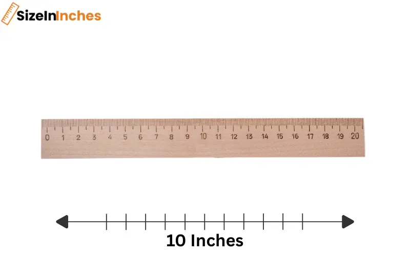 how long is 10 inches