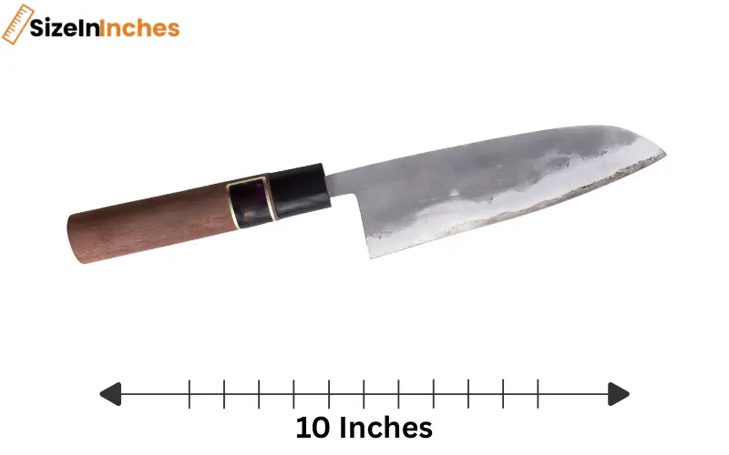 how long is 10 inches