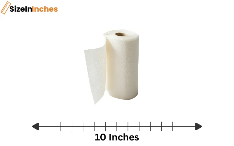 how long is 10 inches