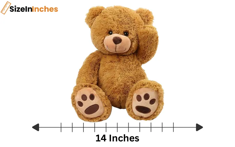 how long is 14 inches 