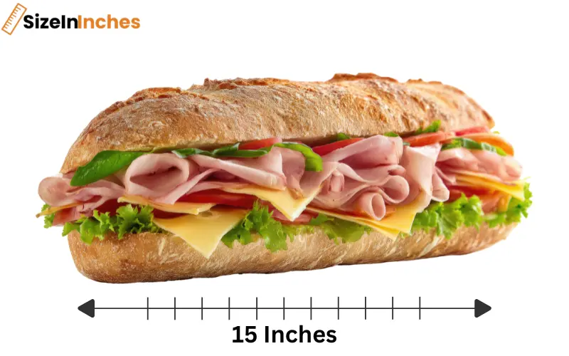 how long is 15 inches 