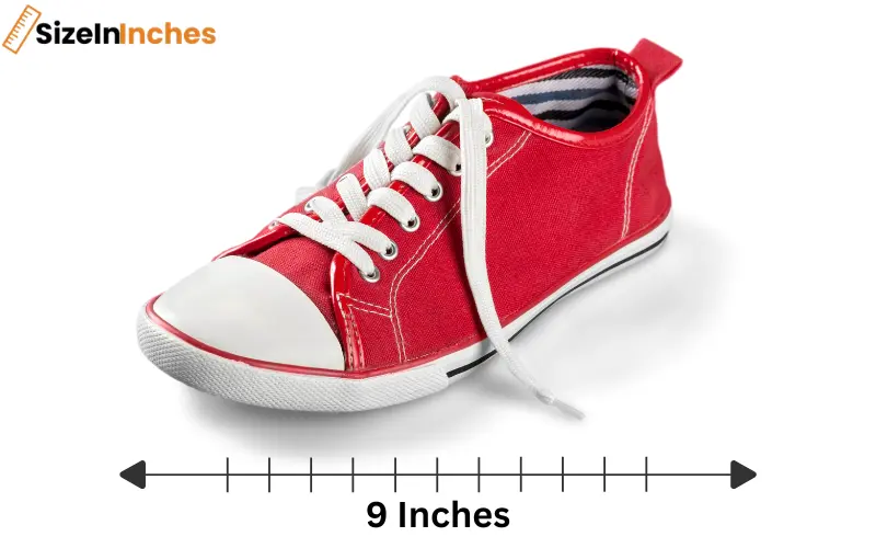 how long is 9 inches