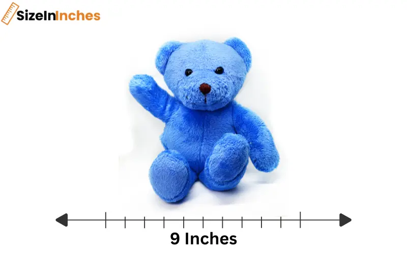how long is 9 inches