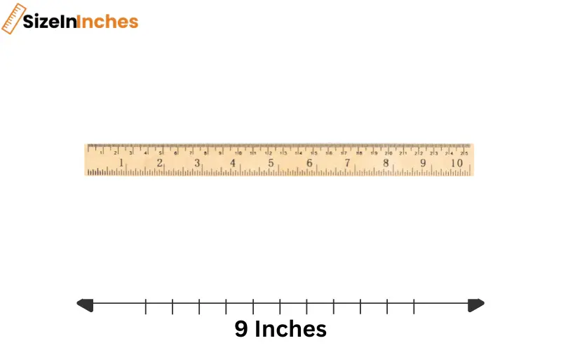 how long is 9 inches