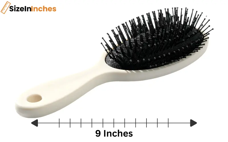 how long is 9 inches