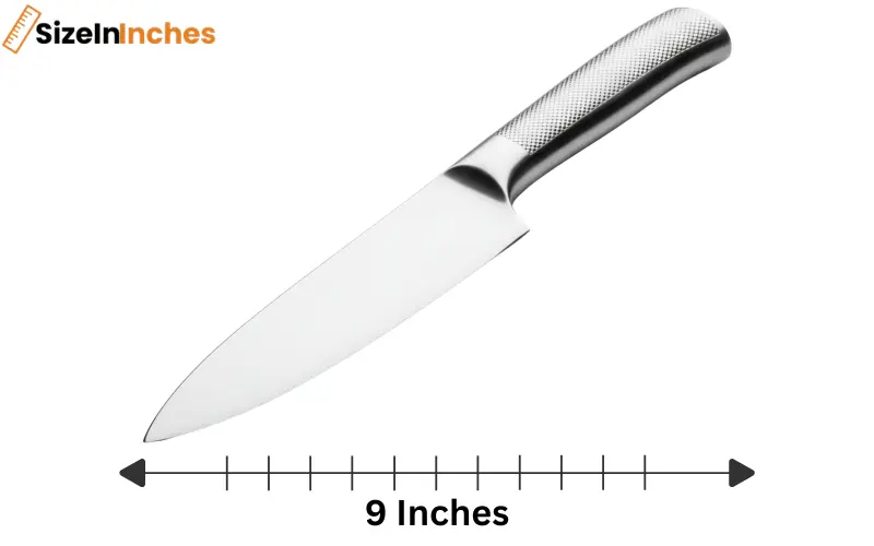 how long is 9 inches