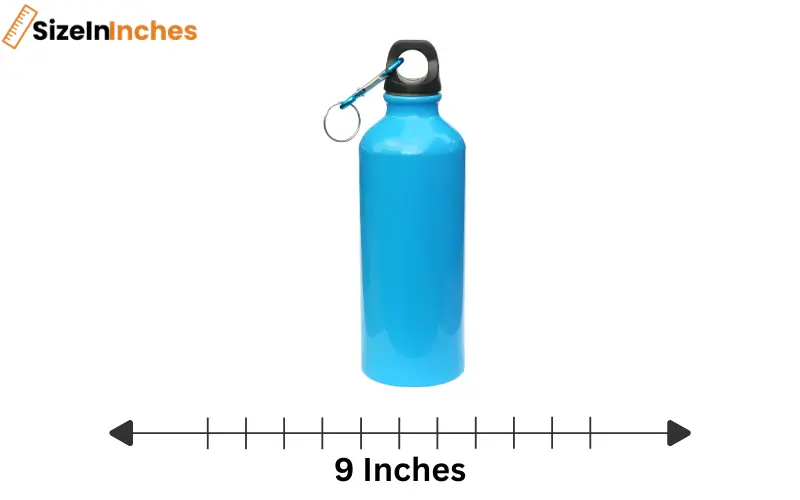 how long is 9 inches