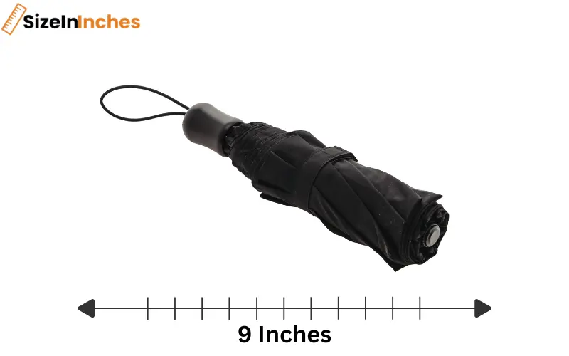 how long is 9 inches