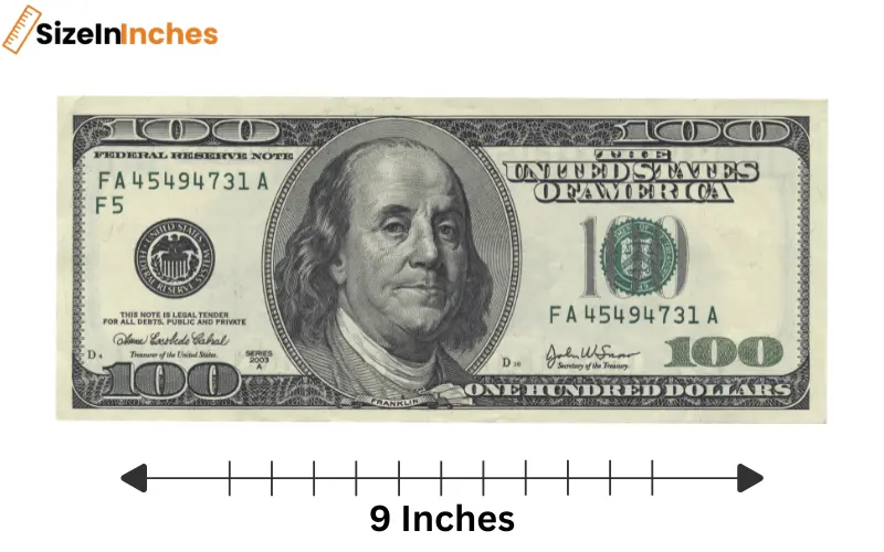 how long is 9 inches