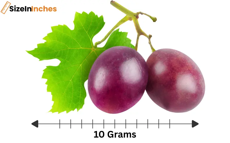 how much is 10 grams