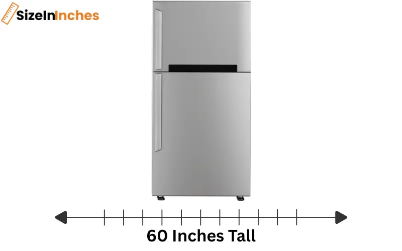 how tall is 60 inches