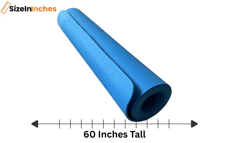 how tall is 60 inches