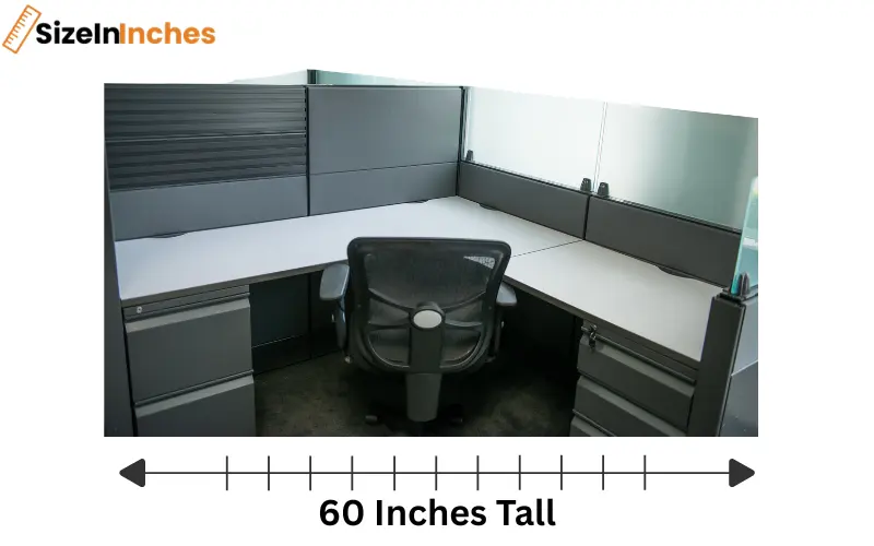 how tall is 60 inches