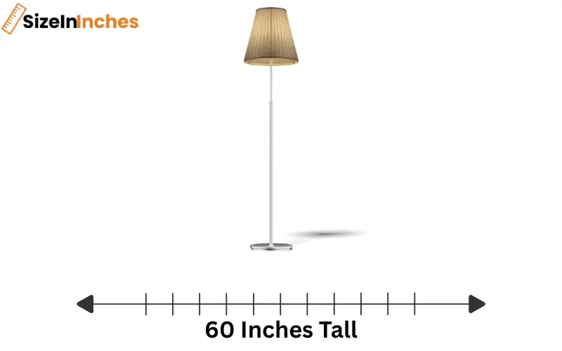 how tall is 60 inches