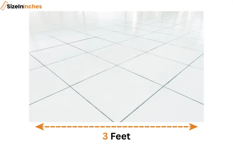 how long is 3 feet