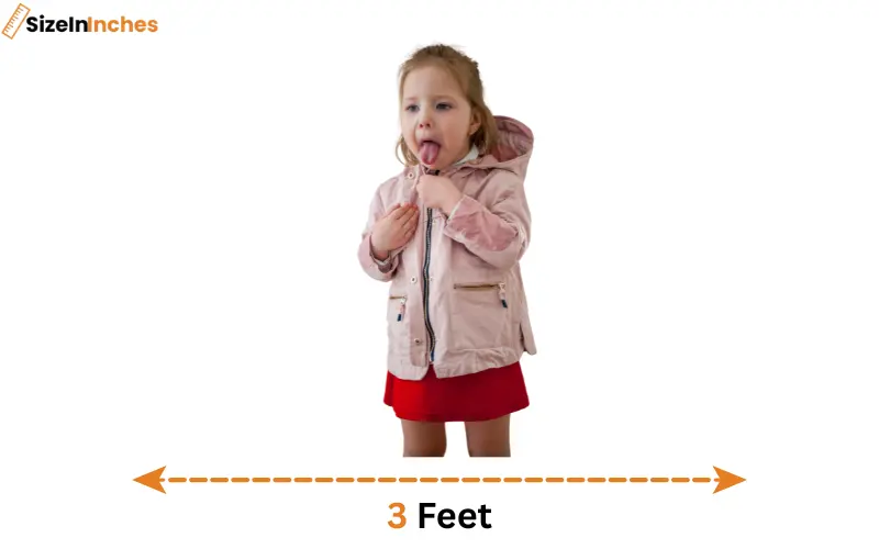 how long is 3 feet