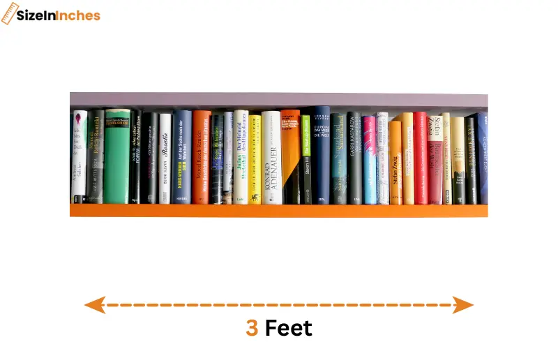 how long is 3 feet