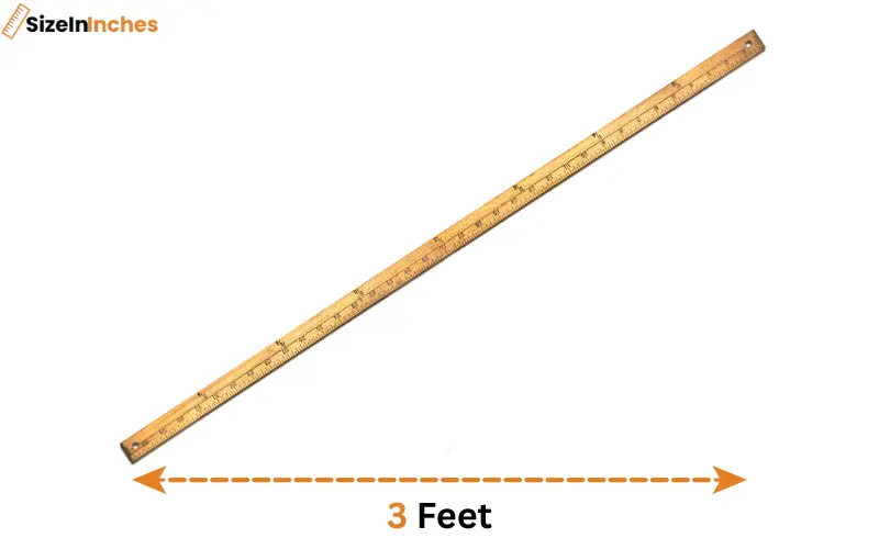 how long is 3 feet