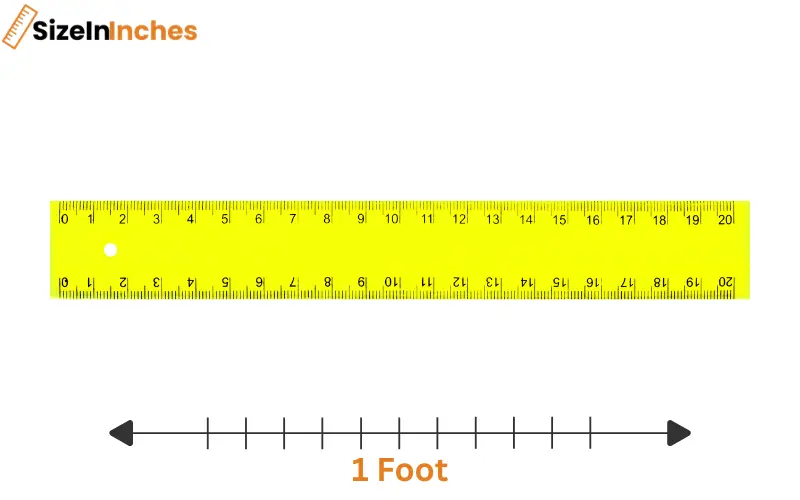 how long is 1 foot