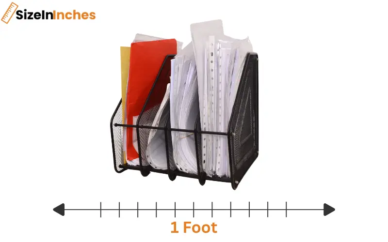 how long is 1 foot