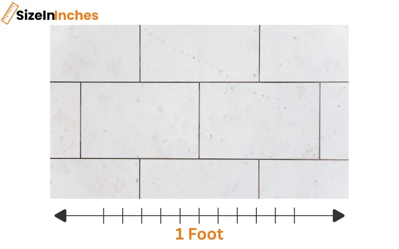 how long is 1 foot