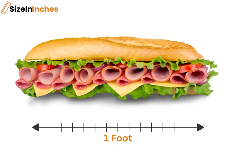 how long is 1 foot