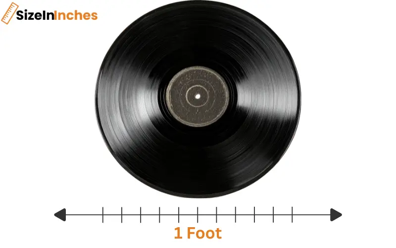 how long is 1 foot