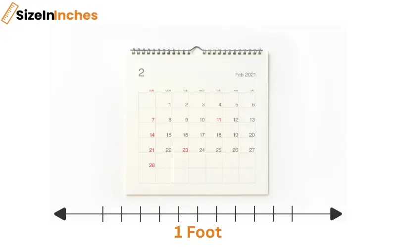 how long is 1 foot